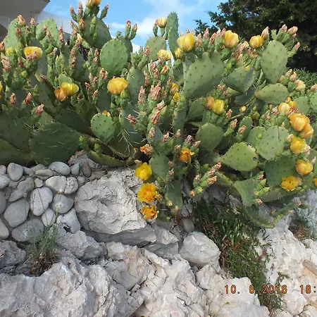 公寓 Apartments Amore *