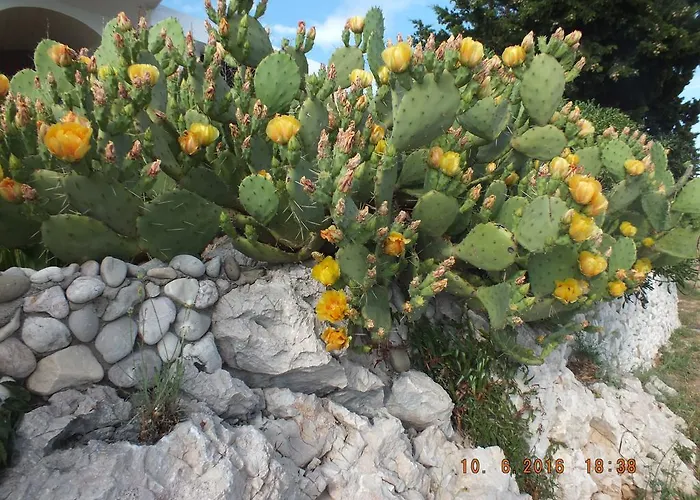 شقة Apartments Amore *